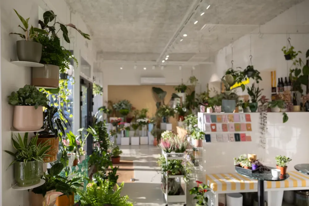 Agencement-plantes-d-interieur-a-Templeuve-en-Pevele